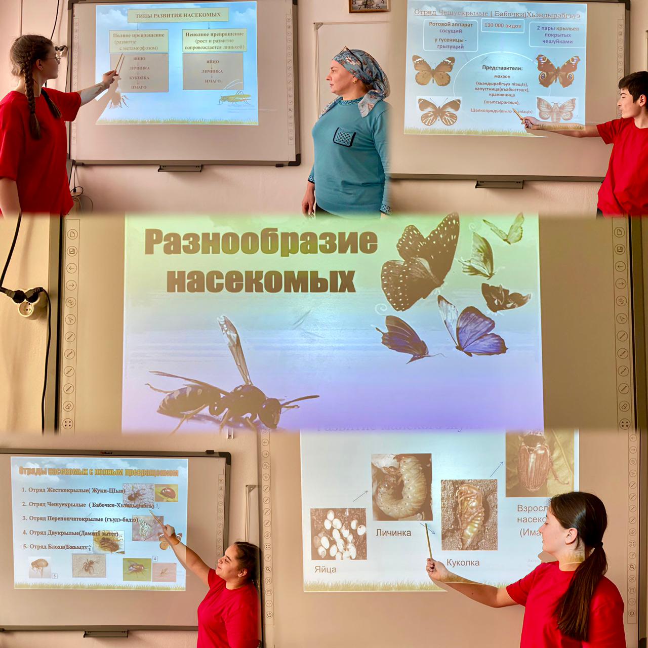 МНОГООБРАЗИЕ ЖИВОТНЫХ.